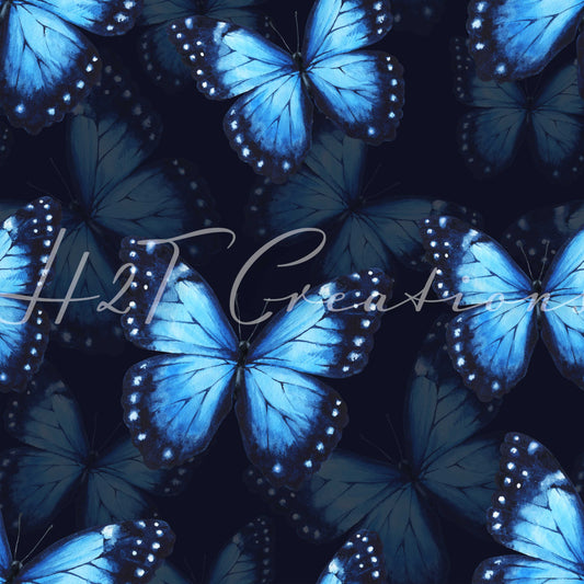 Black background Blue Butterflies 101-4G